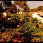 Albergue Cofrentes Turismo multiaventura en Cofrentes (Valencia)