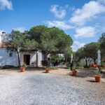 Alternative camper park Nirvana en Villablanca (Huelva)