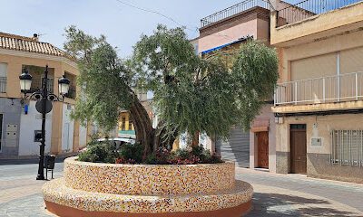 Archena en Archena (Murcia)