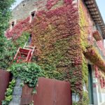 Àrea Autocaravanes Cantonigròs en L'Esquirol (Barcelona)