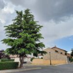 Área de autocaravanas Piedrahíta en Piedrahíta (Ávila)