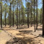 Área recreativa de Bailico en La Culata (Las Palmas)