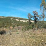 Área servicio Presa de la Torre de Abraham en Pueblonuevo del Bullaque (Ciudad Real)