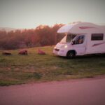 AutocaravanasMB en Paracuellos de Jarama (Madrid)