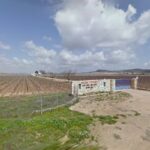 CAMPER IN VINEYARDS en Abengibre (Murcia)