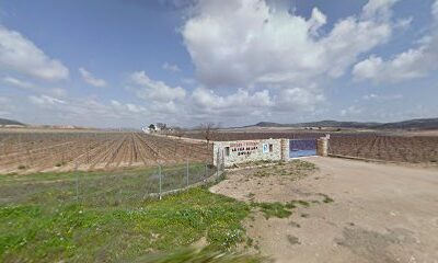 CAMPER IN VINEYARDS en Abengibre (Murcia)