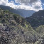 Camp El-Mfadal en Algeciras (Marruecos)