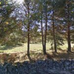 Campamento Diócesis Mérida-Badajoz en Helechosa de los Montes (Ávila)