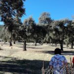 Campamento "La Fuente" en Alcoba (Ciudad Real)