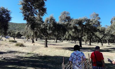 Campamento "La Fuente" en Alcoba (Ciudad Real)