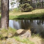 Campamento La Isleta en Hoyos del Espino (Ávila)
