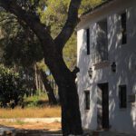 Casa Rural Modesto Guerra en Buñol (Valencia)