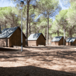 Campamento puente de retama en Puebla de Don Rodrigo (Ciudad Real)