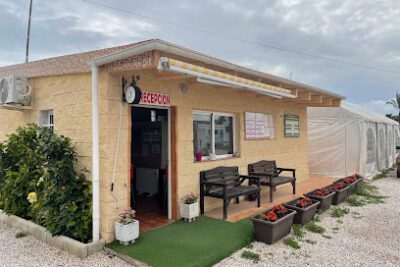 Camper Park San Fulgencio - Camping en San Fulgencio (Alicante)