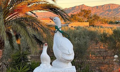 Camperpark De Wevers en S. Isidro (Alicante)