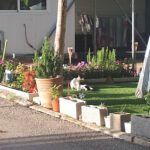 Camping Santa Marta en Mareny de Barraquetes (Valencia)