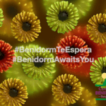 Camping Benidorm en Benidorm (Alicante)