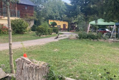 Camping Can Roig en El Pont de Suert (Lleida)
