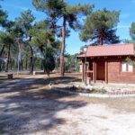 Camping Cantosal en Coca (Segovia)