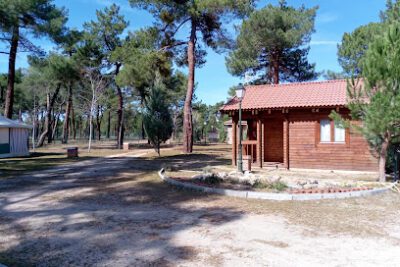 Camping Cantosal en Coca (Segovia)