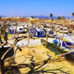 Camping Coelius en Miramar (Valencia)