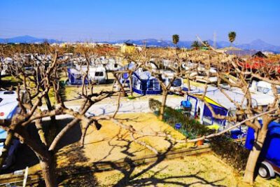 Camping Coelius en Miramar (Valencia)