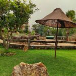 Camping El Cortijo en Ronda (Málaga)