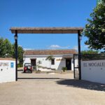 Camping El Nogalejo en Setenil de las Bodegas (Cádiz)