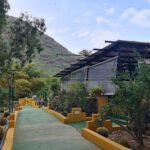 Camping El Pinillo en El Sao (Las Palmas)