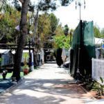 Camping Gran Avenida en Benicasim (Castellón)