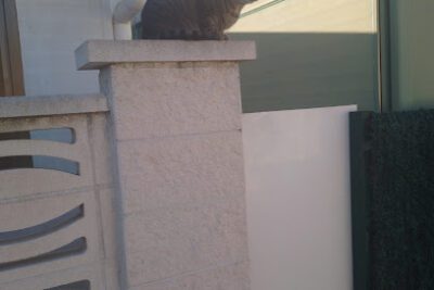 Camping La Piscina en Santa Susanna (Barcelona)