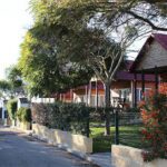 Camping La Rosaleda en Conil de la Frontera (Cádiz)