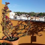 Camping Les Acacias Hendaye en Hendaya