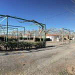 Camping Los Naranjos en Moncófar (Castellón)