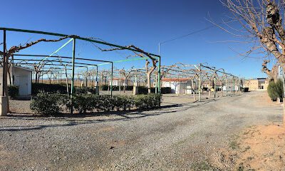 Camping Los Naranjos en Moncófar (Castellón)
