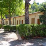 Camping Natura en Rugat (Valencia)