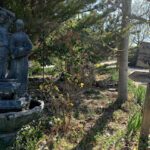 Camping Pantapino en Olmedilla de Alarcón (Cuenca)