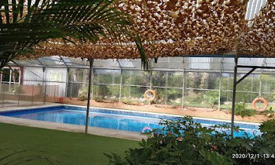 Camping Parque Tropical en Estepona (Málaga)