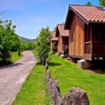 Camping Picos de Europa en Avín (Asturias)