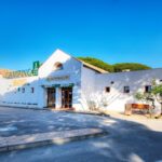 Camping Pinar San José en Zahora (Cádiz)