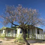 Camping Praia de Armação de Pêra en Armação de Pêra