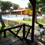 Camping Riberduero en Peñafiel (Valladolid)