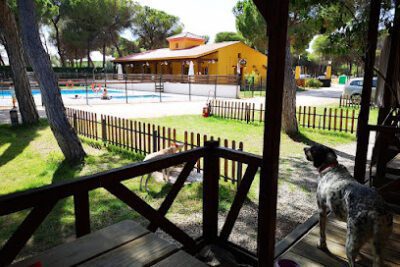Camping Riberduero en Peñafiel (Valladolid)