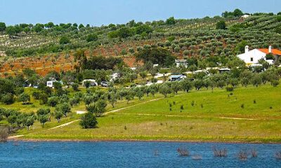 Camping Rosário (adults only 16+) en Bolhas