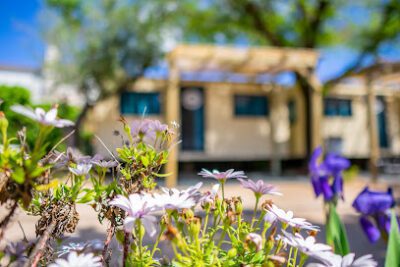 Camping Sant Salvador en Comarruga (Tarragona)