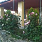 Camping Sierra Pela en Retortillo de Soria (Soria)
