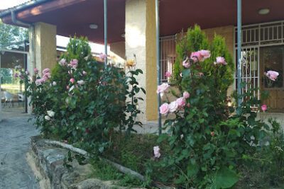 Camping Sierra Pela en Retortillo de Soria (Soria)