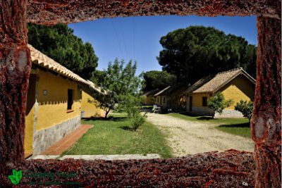 Camping Vejer en Vejer de la Frontera (Cádiz)