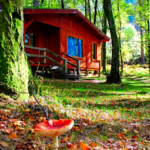 Gerês Vidoeiro Camping en Lamas de Mouro