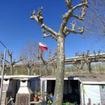 Camping la Maresma en Sant Pol de Mar (Barcelona)